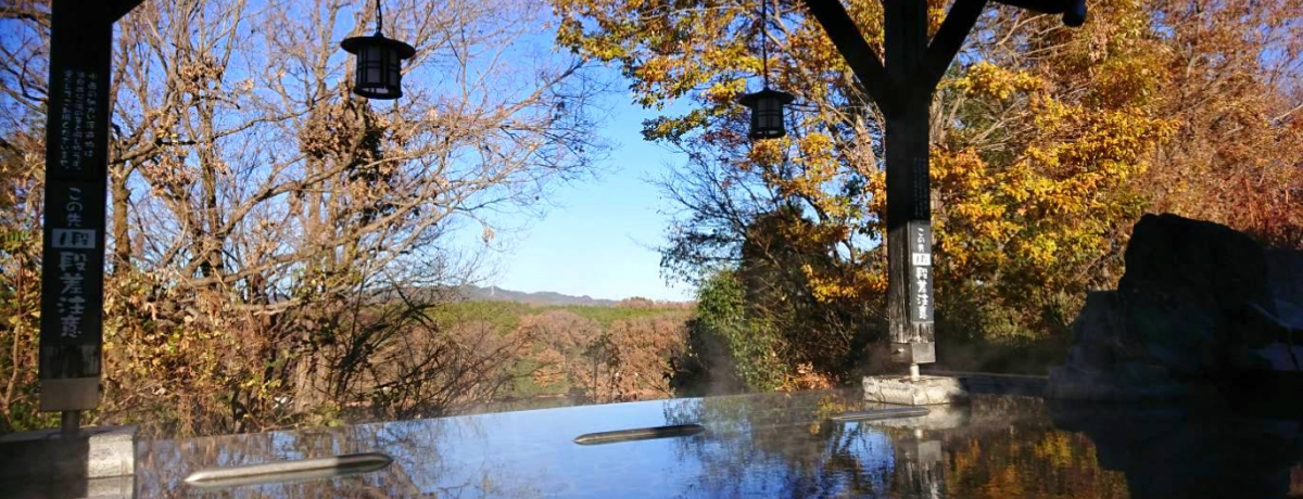 є\Ebc@̋Áu{Ή yʓ@vցI1000~ŋɊyCI