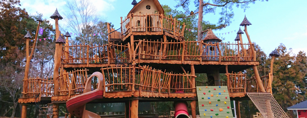 qAŃ[~o[p[NI`Pbgłǂꂾy߂H