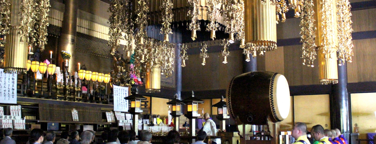 �p���X�|�u���c�R�v��2���Ԃŏ���I�����v�U���̃��f���R�[�X