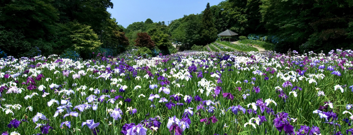 šȅuKCRvŉԏҊ₠𖞋i