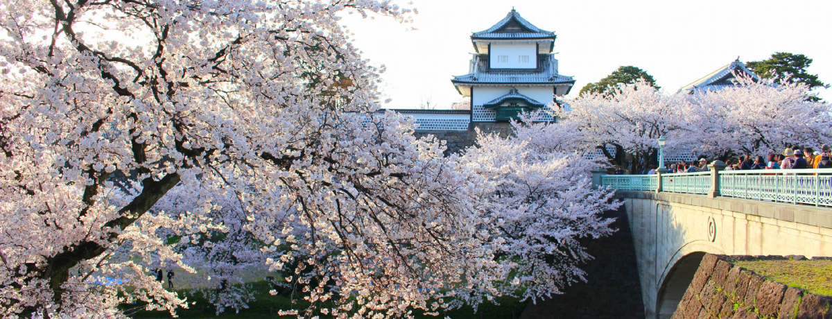 Ósɍ炫ւIEZύ̃CgAbv