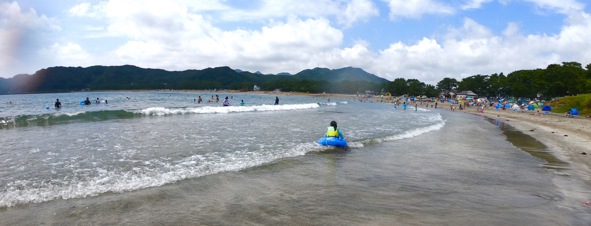 ��ɓ��u�|���l�C������v�͔��l���������l�C�r�[�`�I�ׂɂ͈����l��