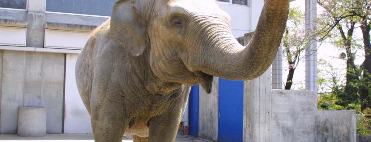 ��������o�C�L���O��0�~�I�q���ƍs���Q�n�̖����X�|�b�g5�I