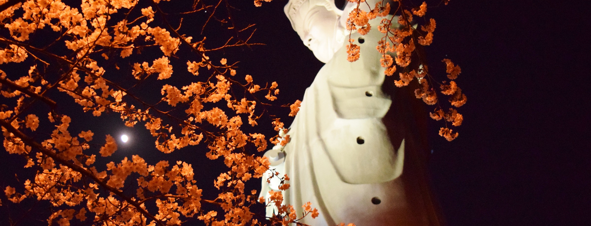 �t�̖�͊ω��R�ցB���蔒�ߑ�ω��E����q�ρ����C�g�A�b�v