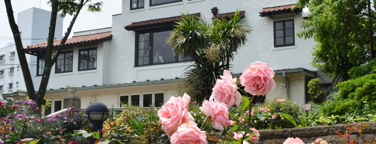 �m�قɐ�i�J�t�F���I���l�E�R��ό��ɂ������߂̃J�t�F�T�I