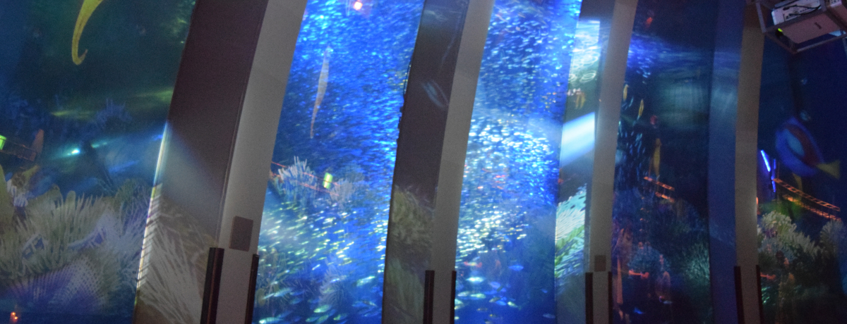 ���l�E���i���V�[�p���_�C�X2016�Ẵi�C�g�C�x���g�܂Ƃ߁`�Ă̖�́u���̊y���v�ցI