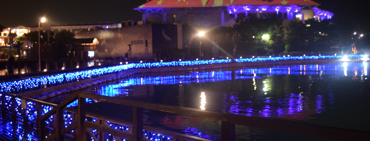 ~̖͉lEiV[p_CXIC~l[VuỹiCgANAEv