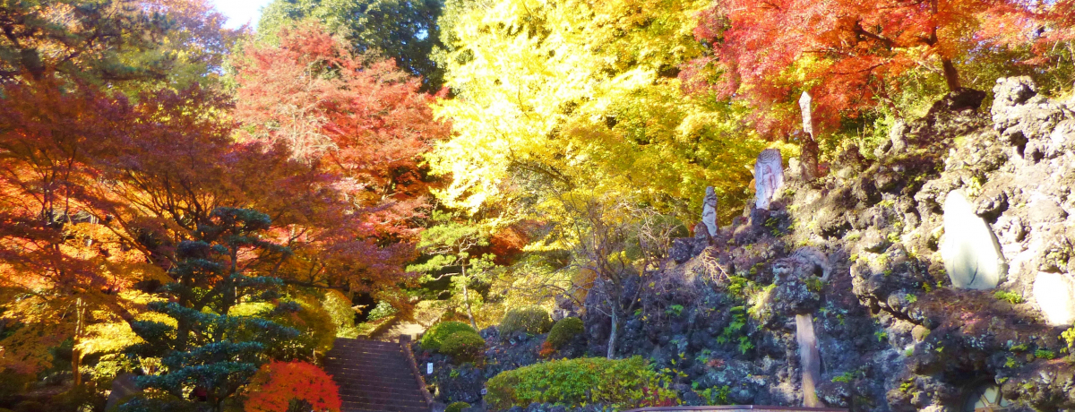 k֓̒뉀E̍gtƁA_̓AωK˂āB