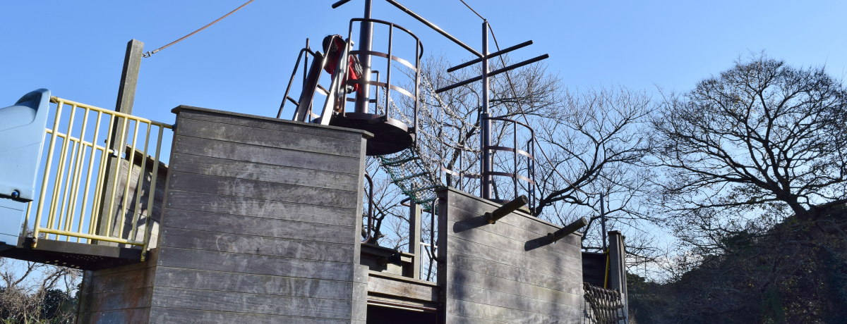 AX`bNɈVсB{uωv͈Vׂp_CX