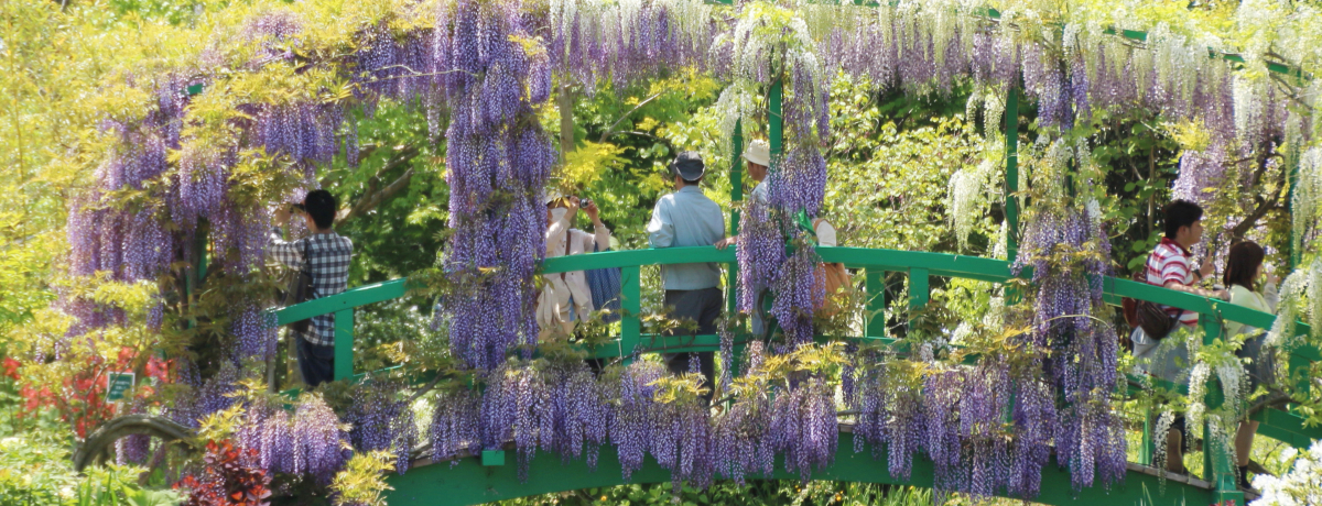 ܂ԂɍIulΉԔvl΃K[fp[N֍sI