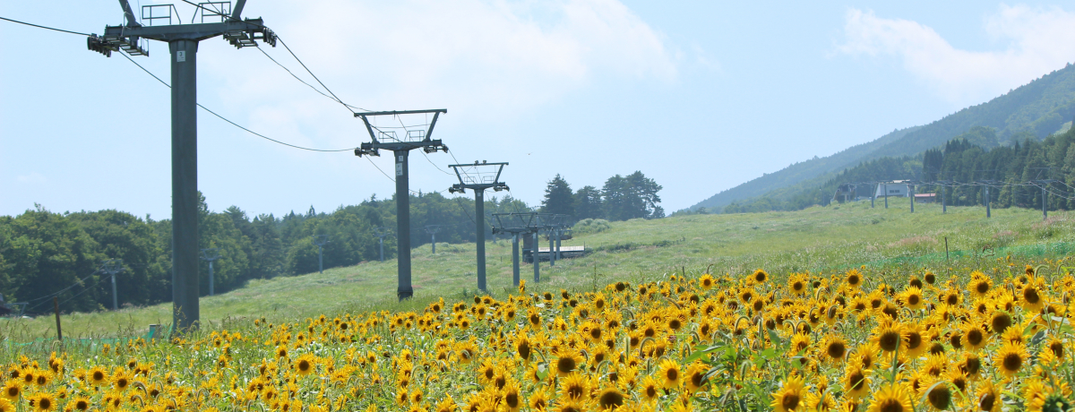 QfʉFɁI򕌌RsuARsAЂ܂艀v