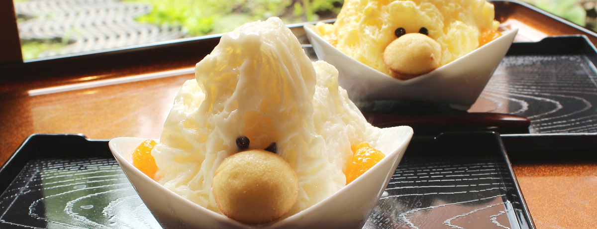 �����ĐV�H���I���m�����R�s�E�{�������́u�ӂ�ӂ킩���X�v