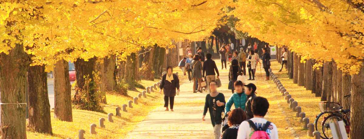 ���F���O�~�I�򕌌��e�����s�u�~�\�i�X�g���[�g�v�̃C�`���E����