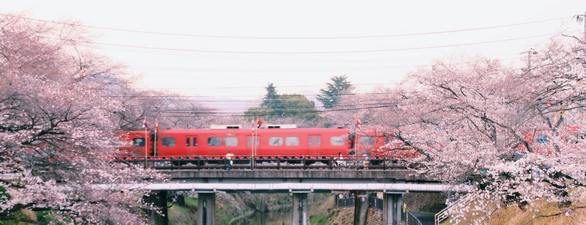 1200{݂̍ɕԁI򕌌esuV̍v