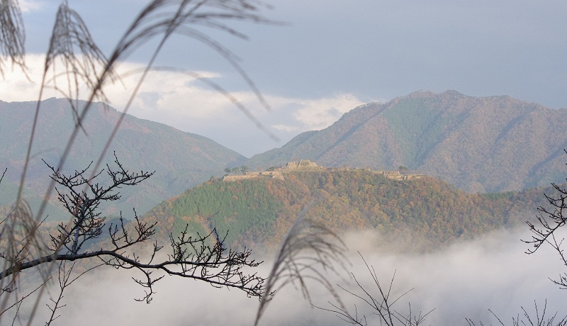 ���{�̃}�`���s�`���A�V��̏�`�|�c��i�Չ��j�֍s���B