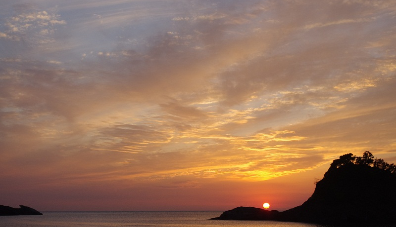 ɓEXƃ}̔w킹@ucIVCv