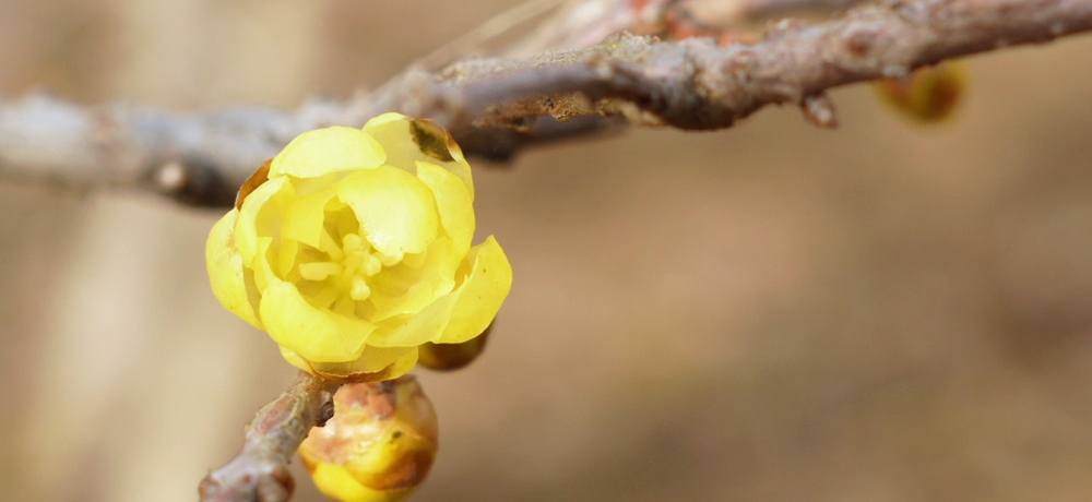 ƂтȉԂ闷IzE_A֍sĂ݂悤