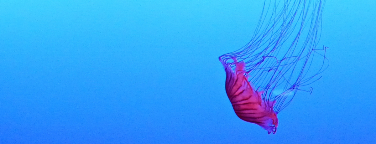 R搶IqƐ΍sĂuV]mفv̋