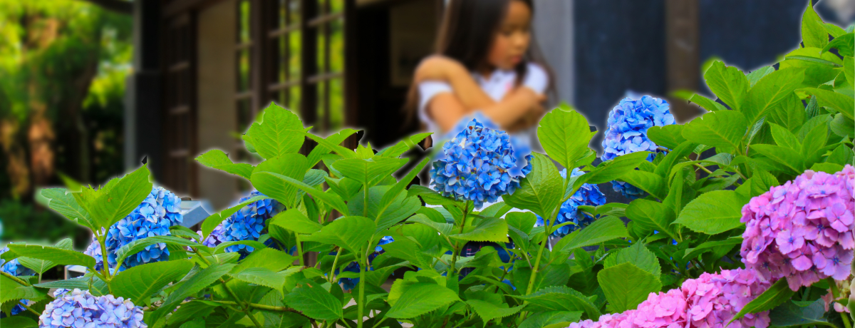 ~Jyޕ@I{sy̐Xقł̃AWTCϏ