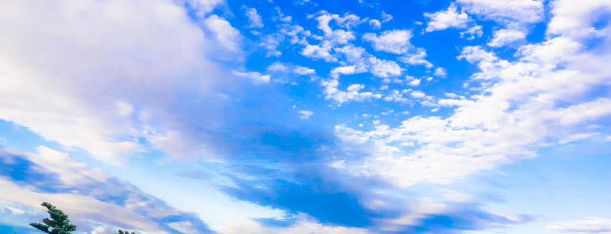 W]̍txEkxI{ꍂoH120oR