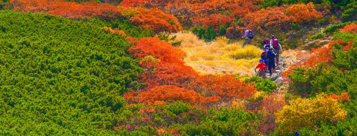 ̒ǐȂiIAvX̏u䃖xvōgtoR