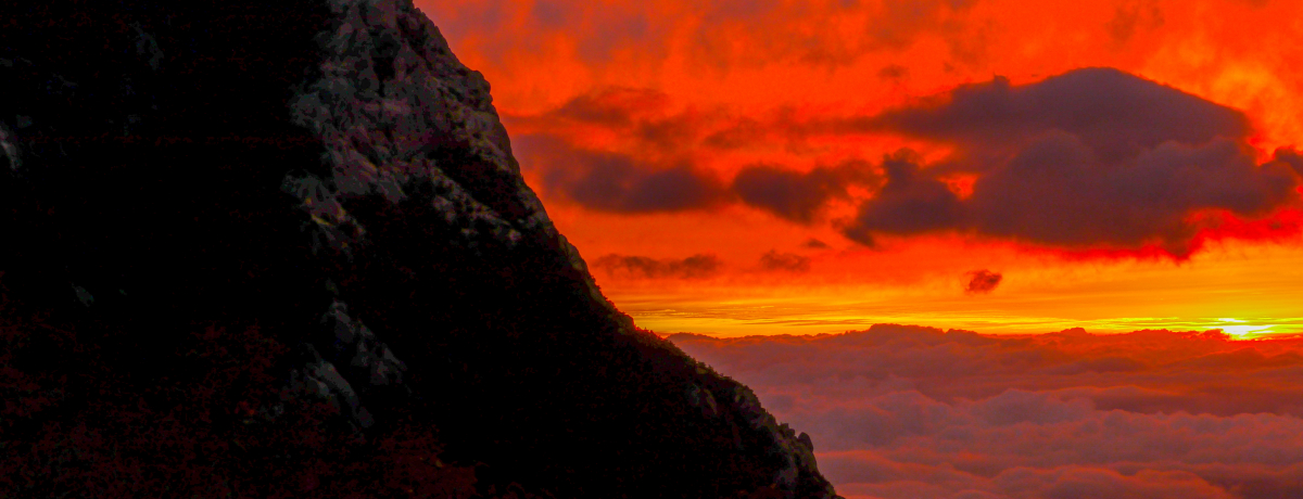 Ԃ̐_Ibx̓nCJ[ȂΓoׂ