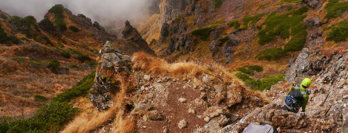 usiHv씪ẍԍԊx痰x