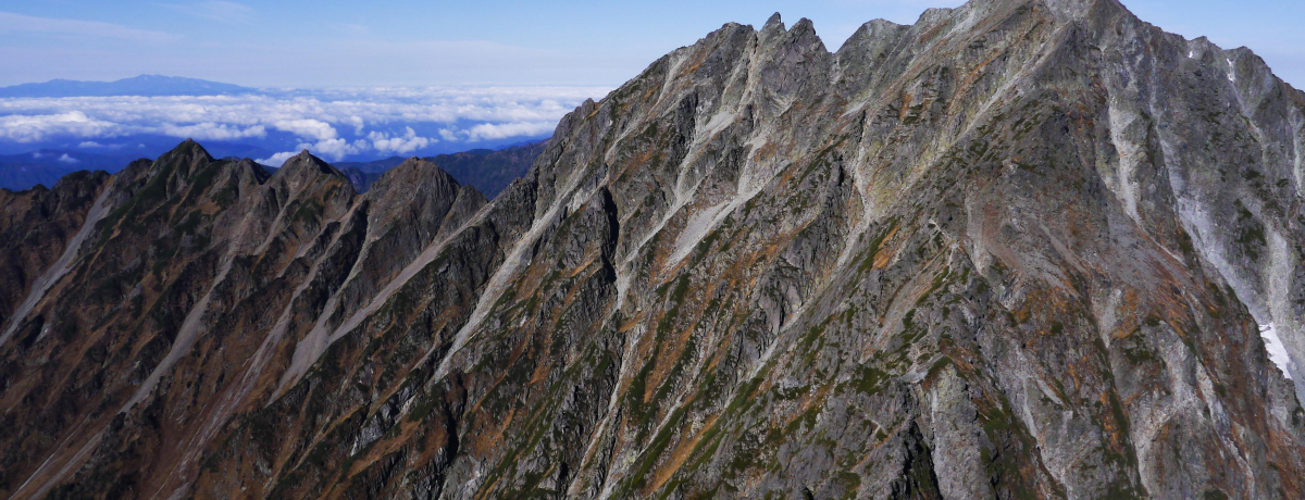 u䍂xɂǂՁ`͂܂肽lɃIXXvdYVO䍂x猩镗iI