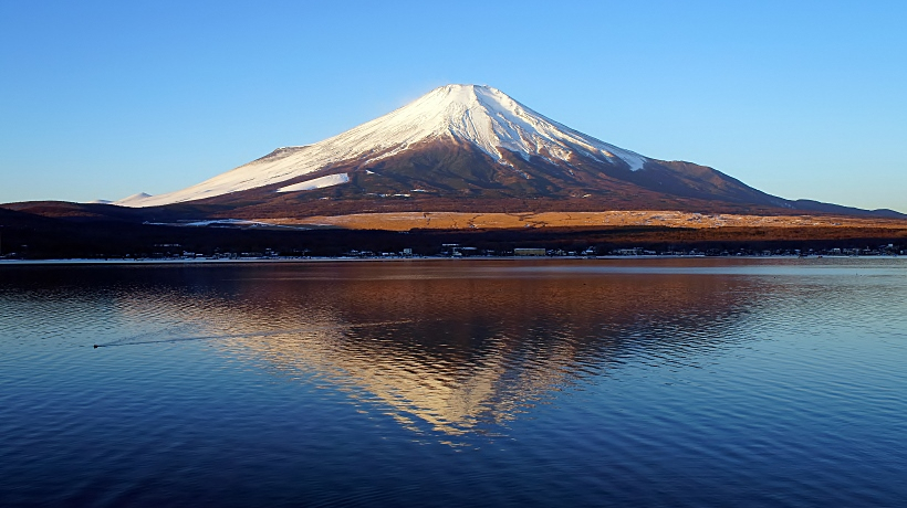 �_�C�������h�x�m�𒷊��Ԍ�����C�`�I�V�̌΁I�R���E�R����