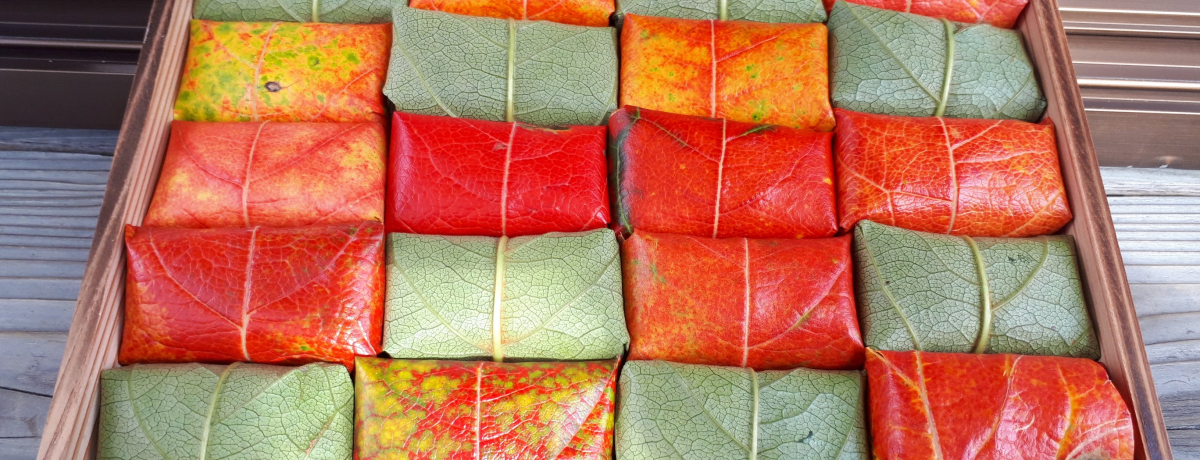 HȂIޗǌsuR̕Ӂvgt`̗t