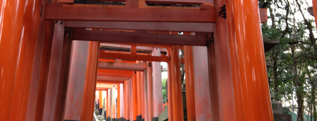 ݂ŁugvIHבЂ̎RőJ^I