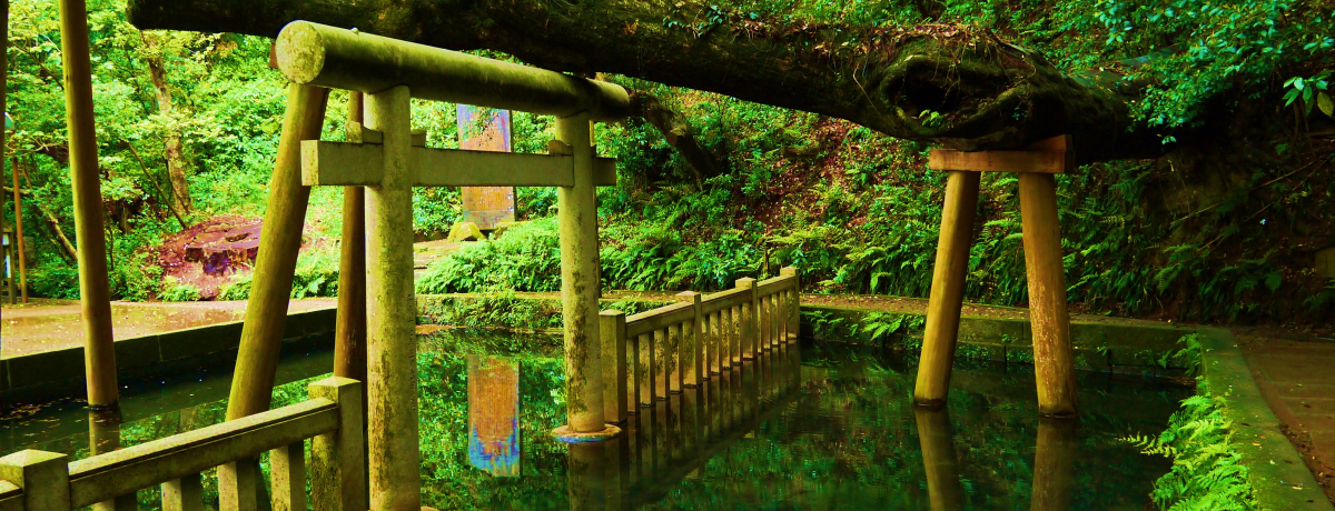 ���P�n�ɂ��Ȃ��������_�{�i��錧�j�̕K���X�|�b�g5�I�I�����w���璼�ʃo�X�ŋC�y�ɎQ�q