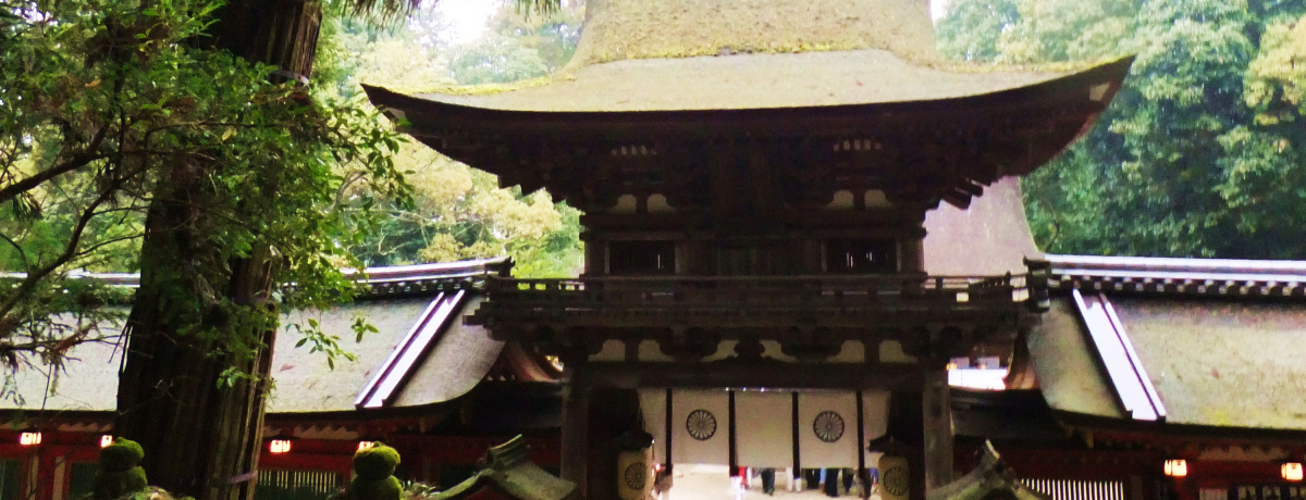 {ŌÂ̊uޗǁER̕ӂ̓vmlmgkR[XhIΏ_{Ȃ܂ցI