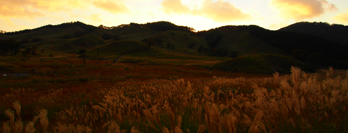 �`���ɁE�u�􍂌��`��̓h���}�u�������v���P�n�̂������̑呐���ƏH�̗[���