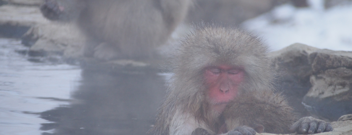 �~������I�n���J����̃X�m�[�����L�[�ɉ�ɍs���I