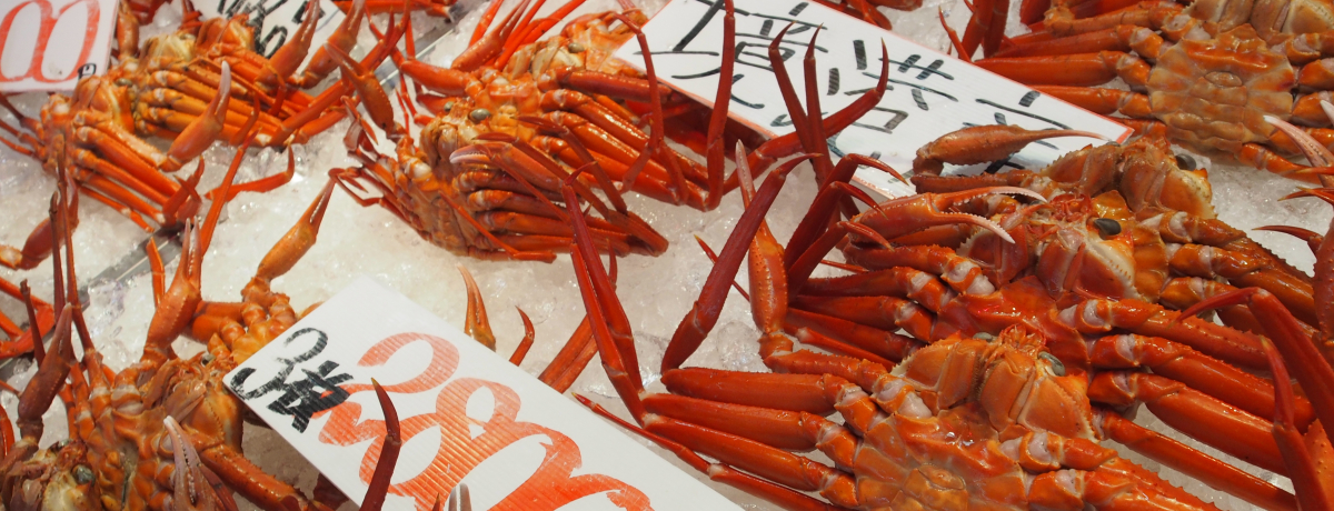 ȂƋSY̒BE`̓~̖͂ɃQQQII