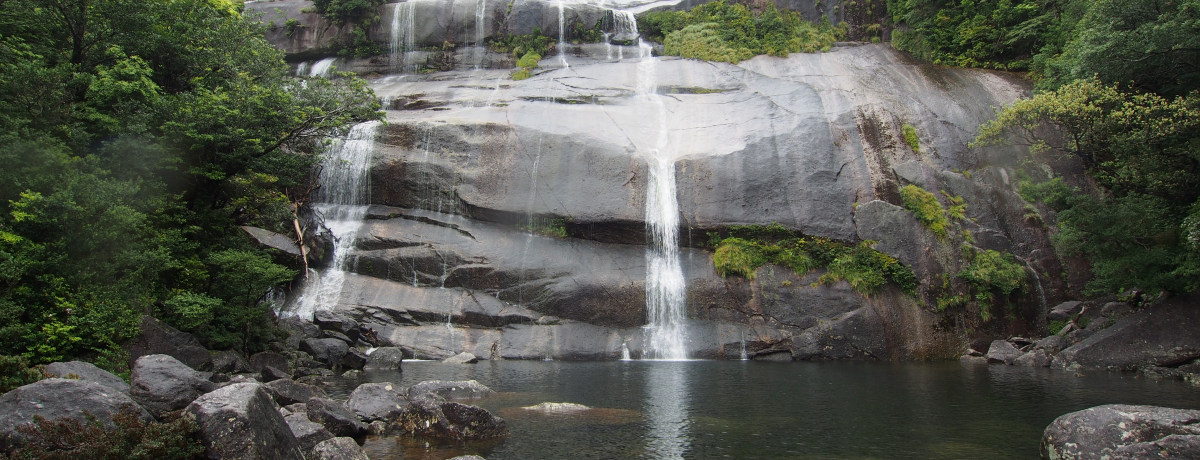 썑Ev̖͂낢Iu֔VnCLOR[Xv