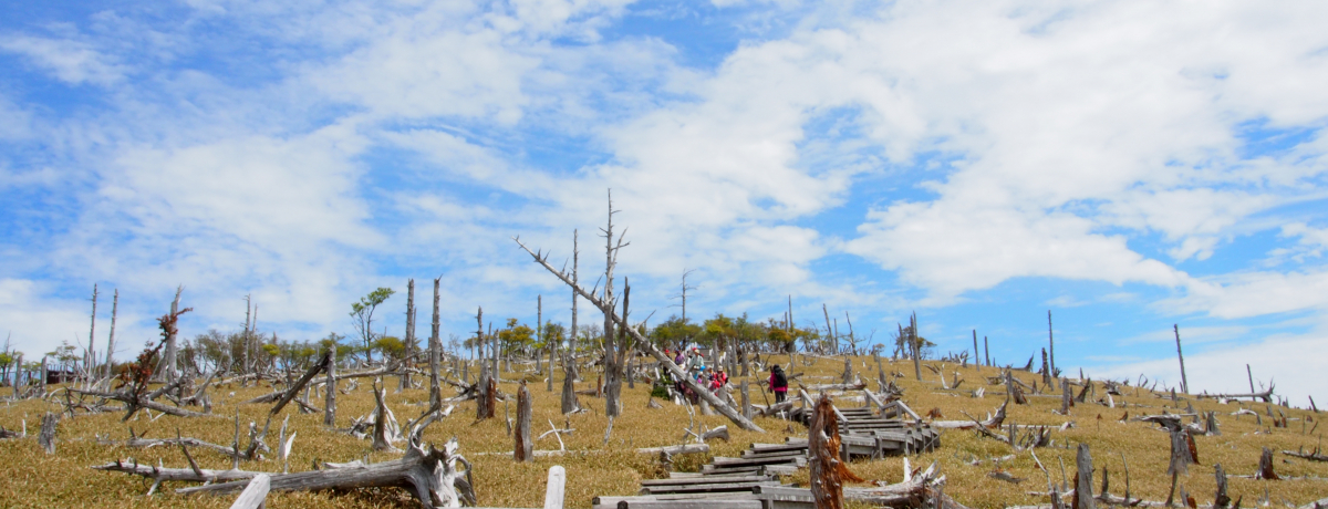 yɎR̐iy߂SRoRHޗǁuPvɍsII