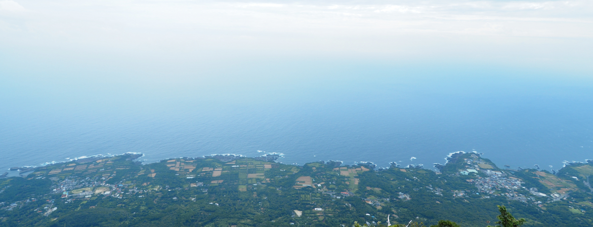 ���v���u���b�`�����x�v���ڐ��̐�i�I�[�V�����r���[�𖞋i�I