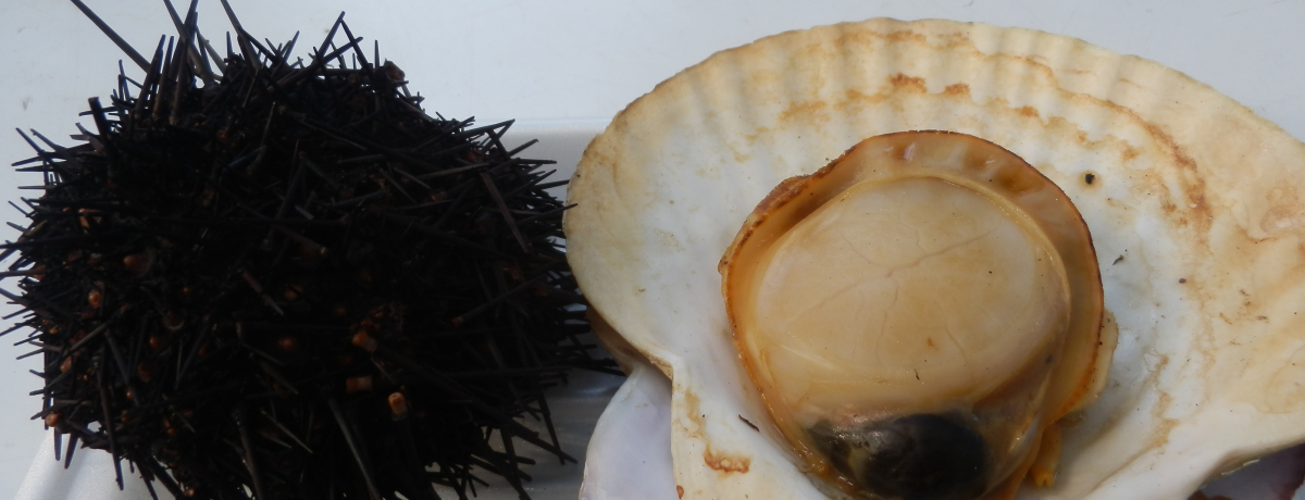 uۂI[^tFXg2012v|TEEE