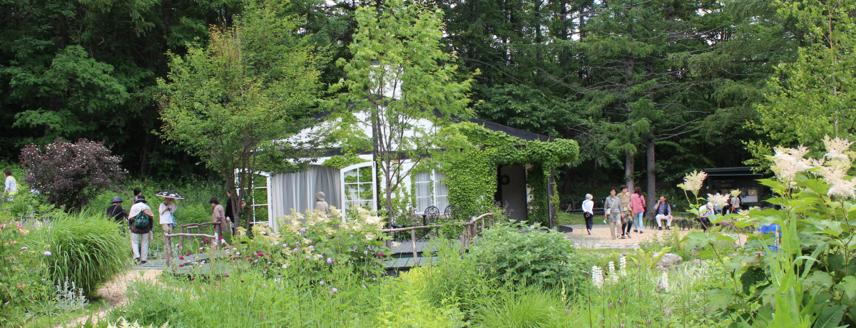 erh}̃PnExǖũK[fvU