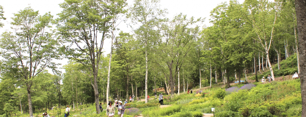 kCK[fX8ڂ̒뉀IuX̃K[fv