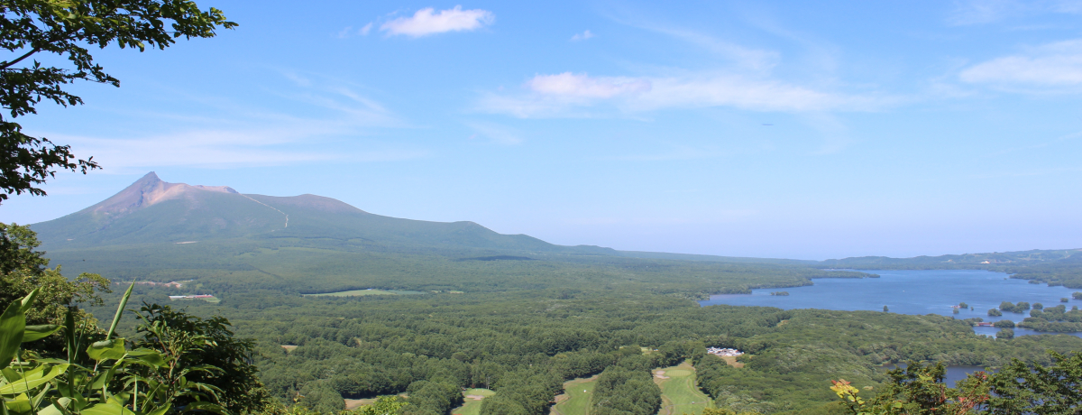 ΎRグΔȂƃA[gȉفuv