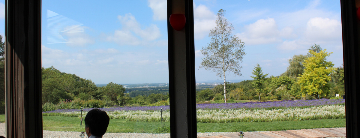 iƐVNȐHށI\qYt@[XguB[YvŒґ򃉃`R[X