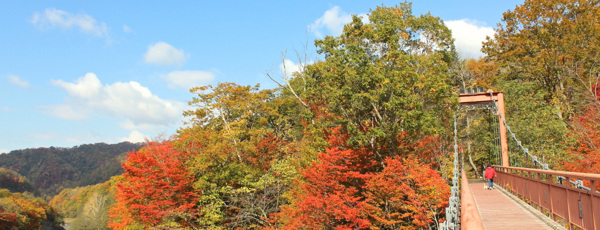 kCu[̏㎩Rvœ̋gtӏ܁I