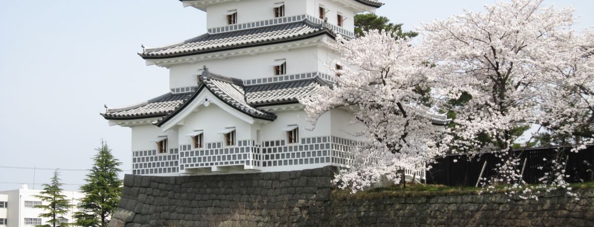 ���Ƃ̃R���{���������I�tࣖ��̐V���u�V���c��v