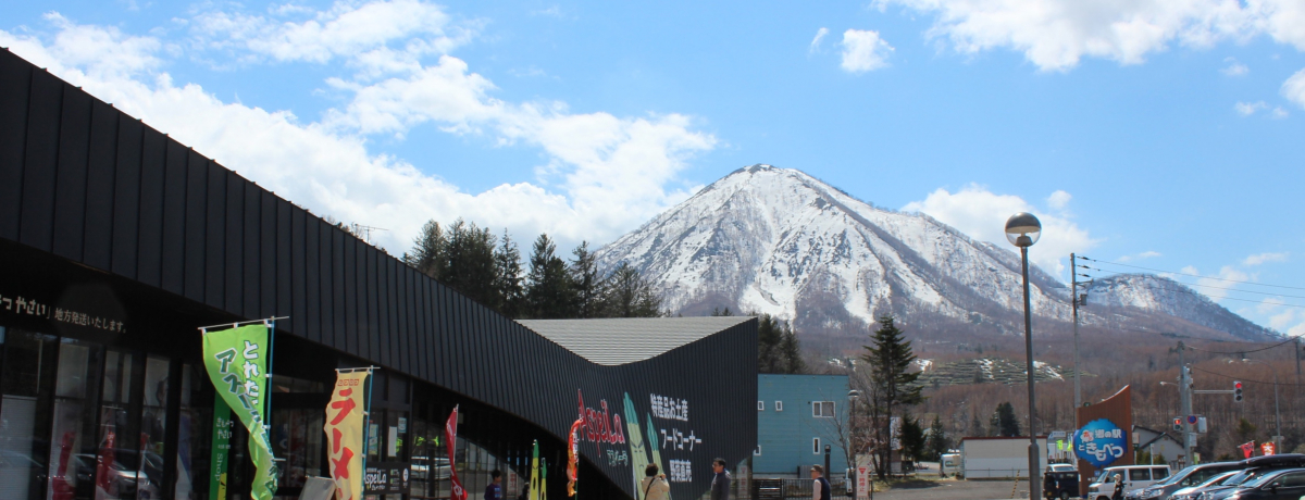 ủw zbƂׂvŖÝhAXpKXhyYɔIkC