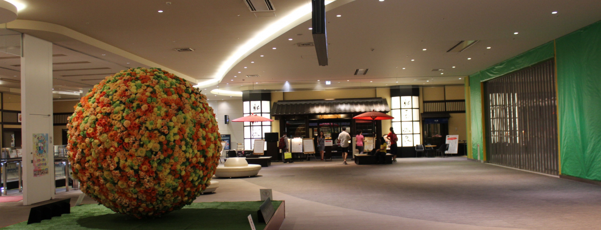 �u�V��΋�`����v�O���ł炭�炭�o�����ґ�v�����Ƃ́H