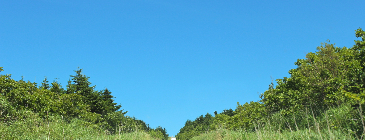 360xiIkCu@Juˁv̔Ɠ{̃ECht@[