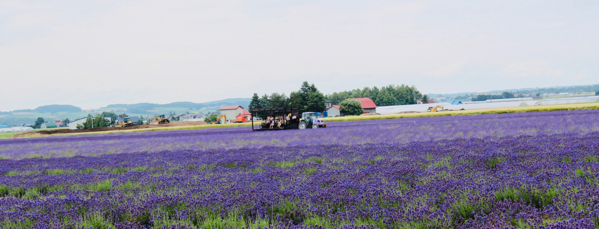 ��x�ǖ�u���x���_�[�C�[�X�g�v�ό���7������I�X�C�[�c�Ƃ��y�Y��